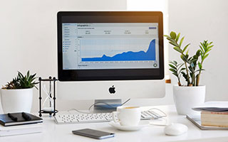 战队战术创新助力夺冠，创新战队名字